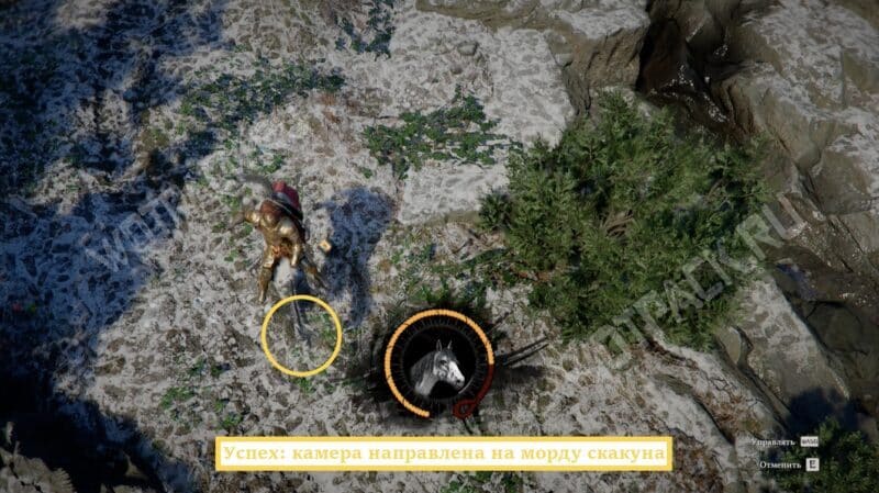 Как приручить и оседлать лошадь в Crimson Desert