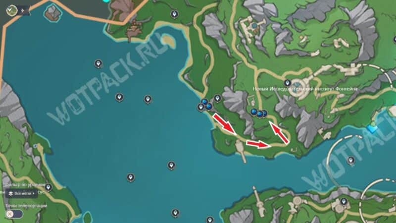 Туманные цветы в Genshin Impact: где найти и как собрать