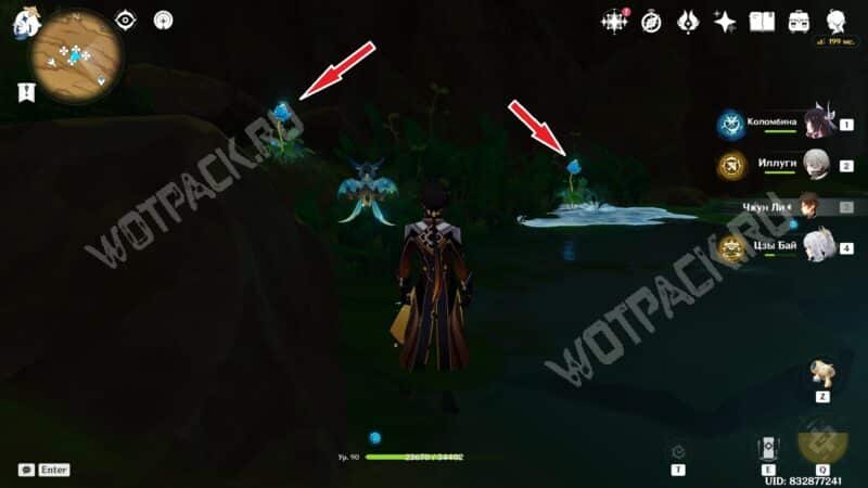 Туманные цветы в Genshin Impact: где найти и как собрать