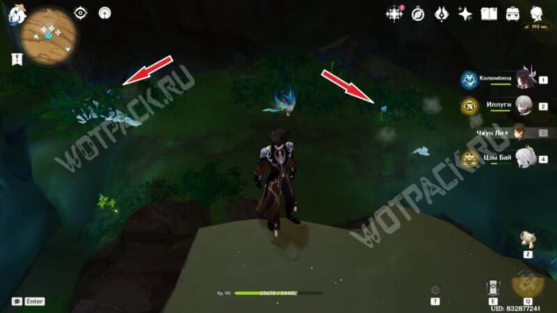 Туманные цветы в Genshin Impact: где найти и как собрать