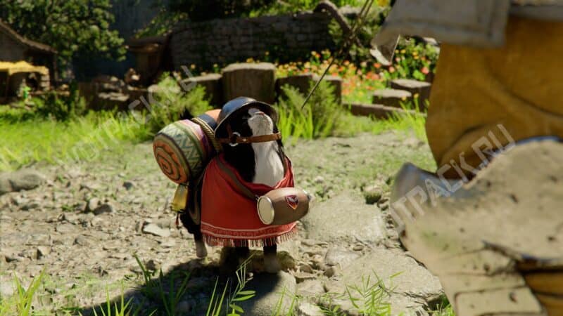 Кот в броне смотрит на Клиффа