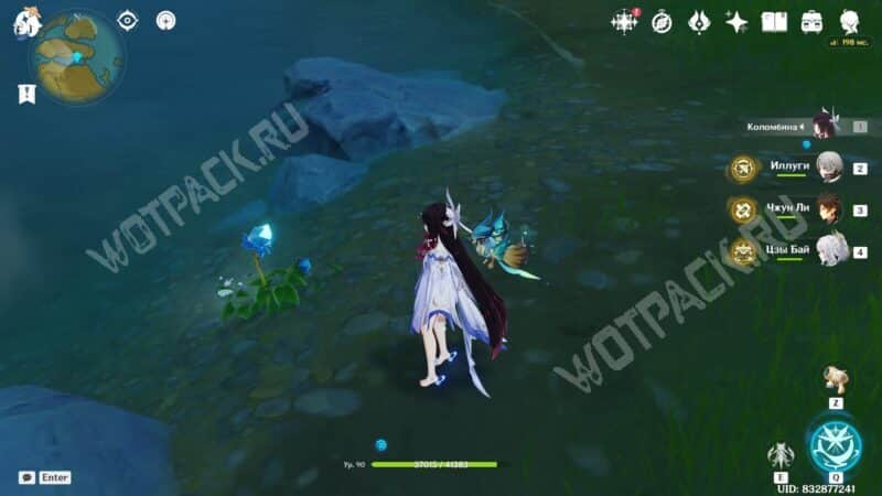 Коломбина стоит рядом с туманным цветком