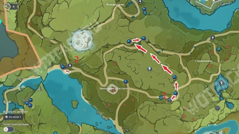 Туманные цветы в Genshin Impact: где найти и как собрать