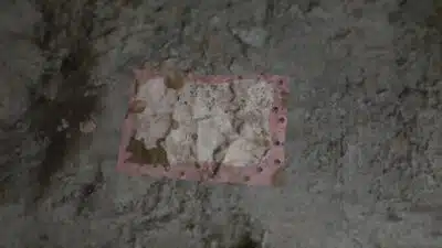 Все Письма из 1998 в Resident Evil Requiem: где найти послания «Мамочке от Мэрил»