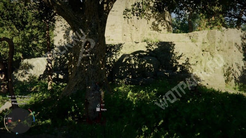 Загадка в Лабиринте Лазурной Луны в Crimson Desert: на какие символы нажимать, чтобы решить