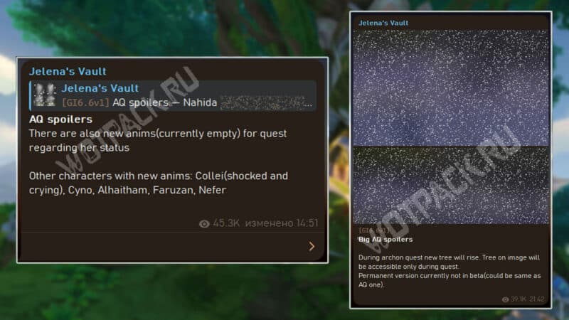 애니메이션과 나무에 대한 내부자 보고서