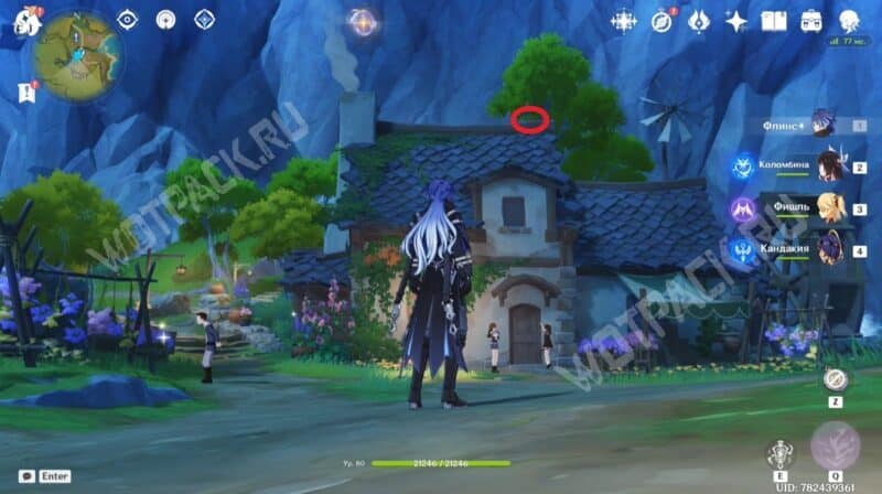 Гнездо на крыше в Мельничной Пристани