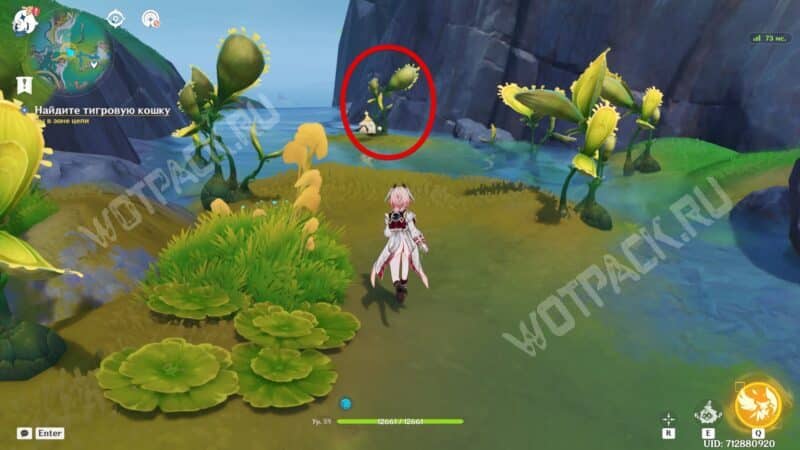 Тигровая кошка в Двулистнике