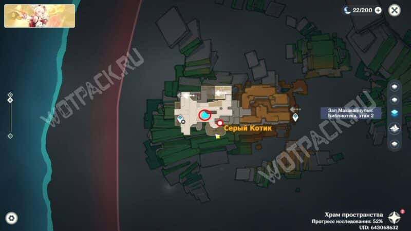 Серый котик на карте