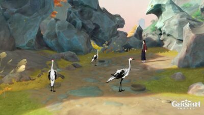 Кано в Genshin Impact: как решить загадку с журавлями