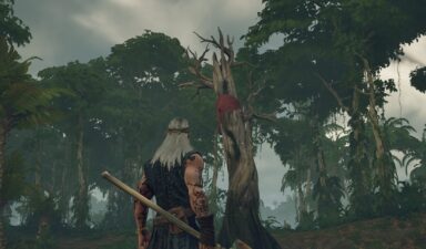 Лагерь путешественника в Windrose: где найти два сундука