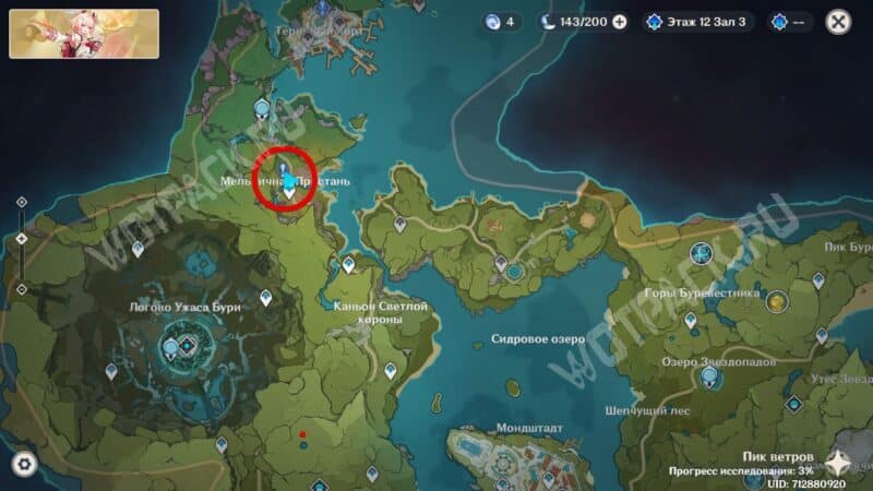 Расположение Леопольдины на карте Мондштадта