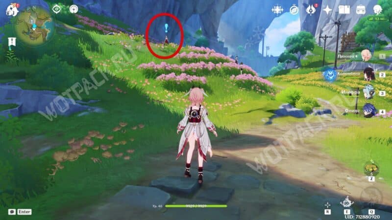 Леопольдина стоит на Мельничной пристани