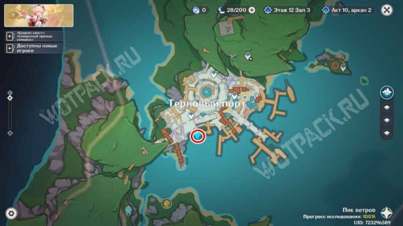 Карта, где стоит Леви в Терновом порту