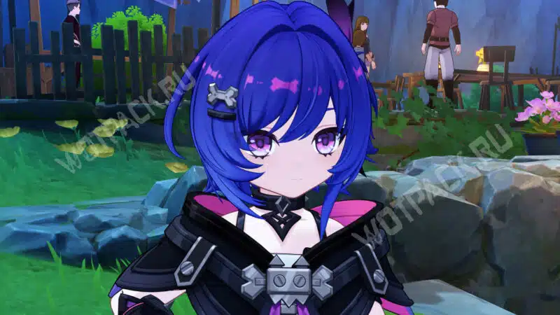 Прюн возле камней