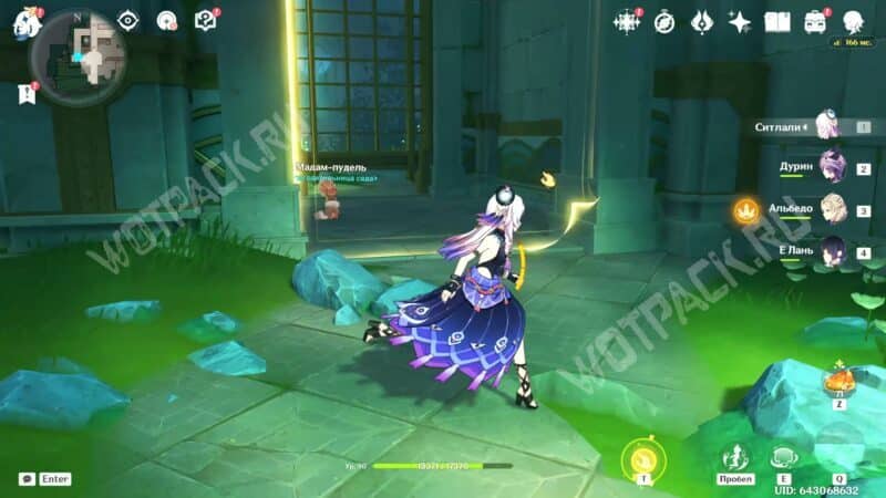 Господин Серый Котик в Genshin Impact: где найти друзей для чаепития