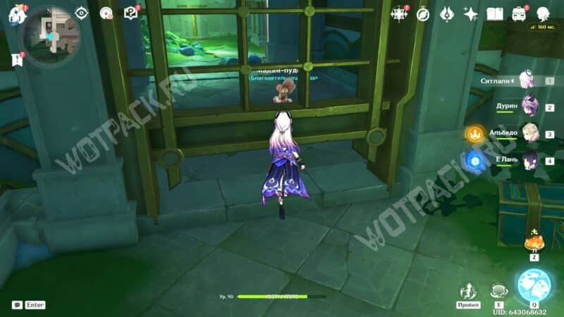 Господин Серый Котик в Genshin Impact: где найти друзей для чаепития