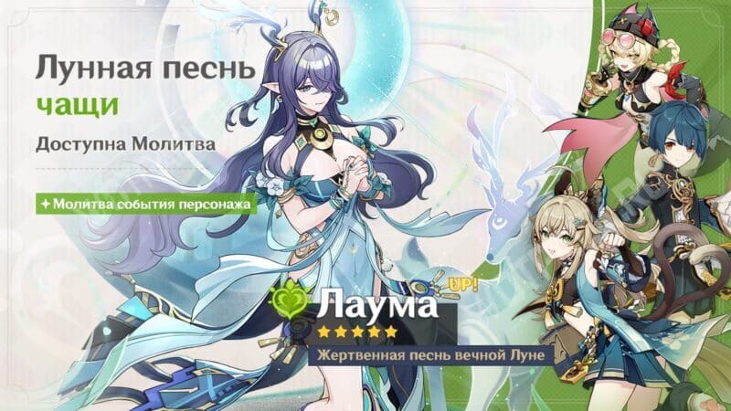 Баннер Лаумы в 6.5