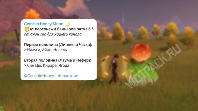 Инсайд по составу молитв 6.5 от Genshin Honey