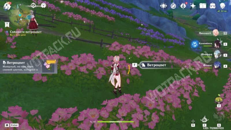 Лесной кабан замирает над цветком в Genshin Impact: как победить Лесного кабана