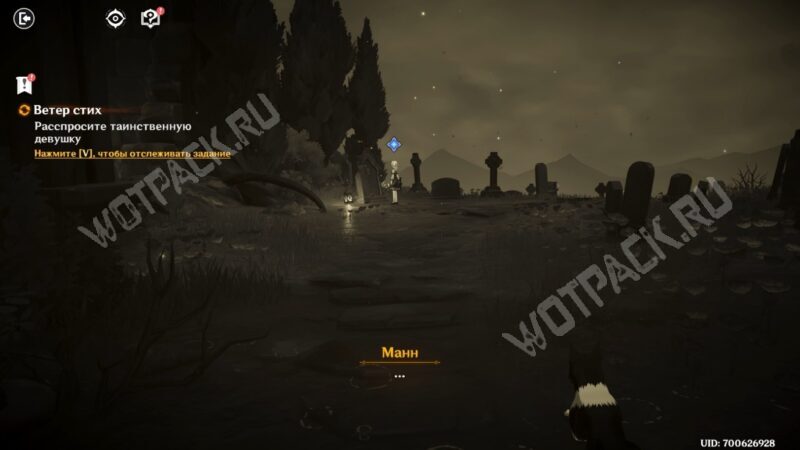 Девушка на кладбище из воспоминаний Манна