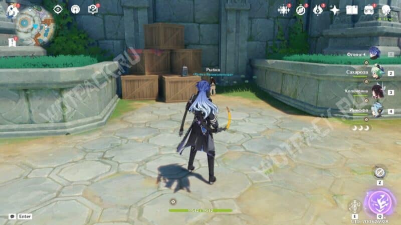 Собака Рыбка у ящиков