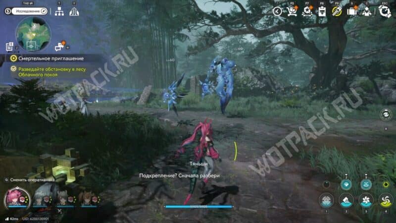 Группа аггелов в лесу Облачного покоя