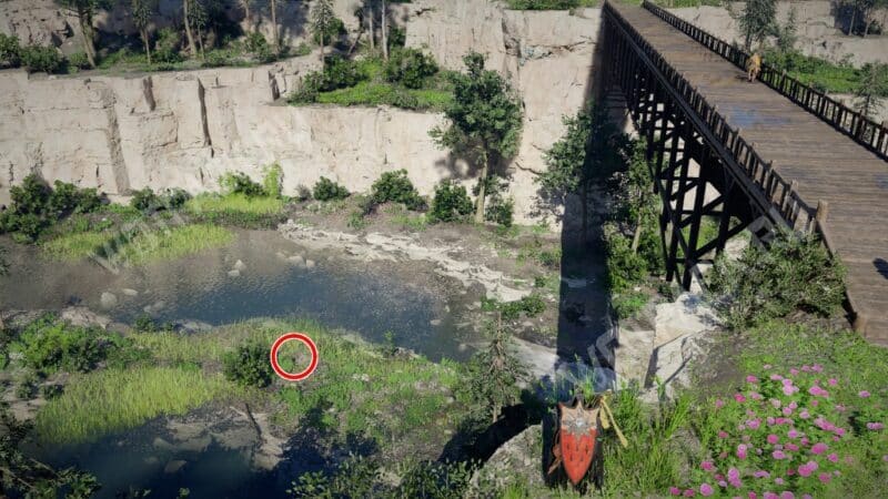 Вид на место раскопок сверху