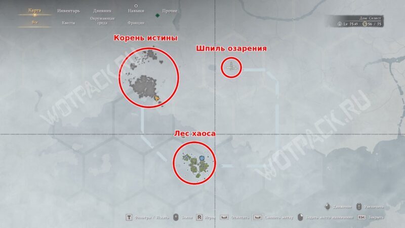 Расположение Корня истины относительно Леса хаоса и Шпиля озарения на карте Бездны