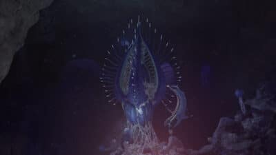 Гребневик-ангел в Subnautica 2: где найти и как вылечить