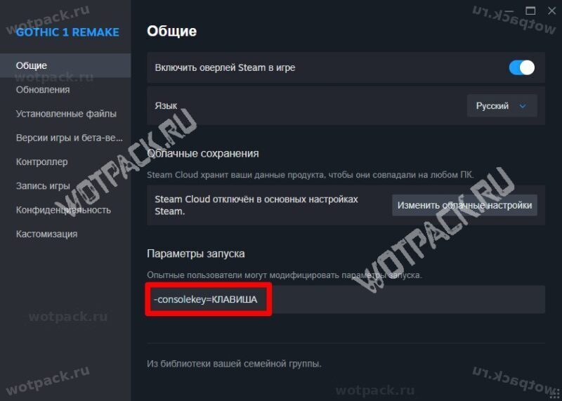 Изменение параметров запуска игры в Steam