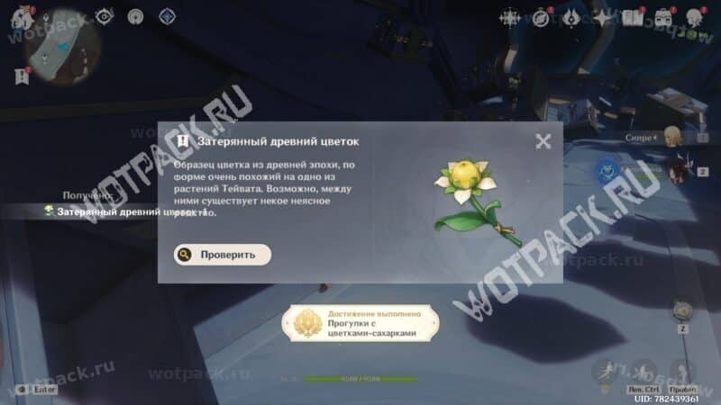 Предмет задания Затерянный древний цветок