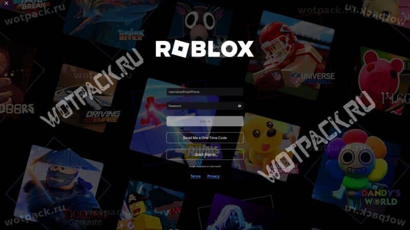 Экран входа в Roblox Player