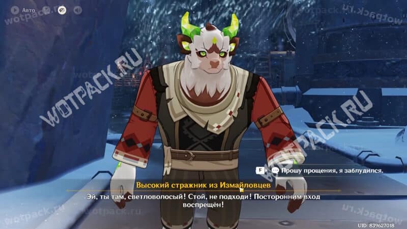 Высокий стражник из Измайловцев