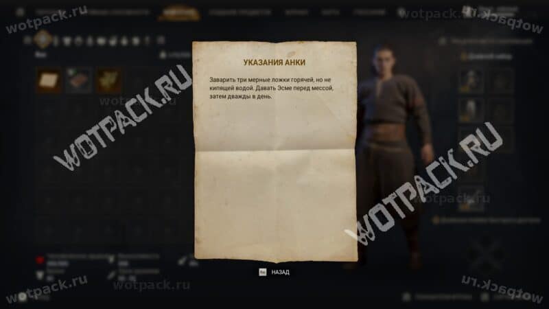 Текст указаний Анки