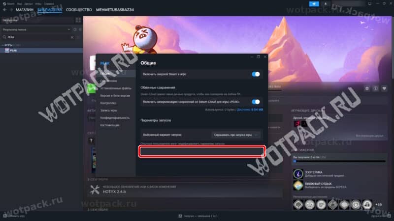 Расположение параметров запуска игры в Steam